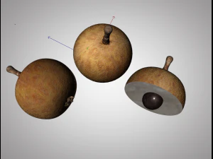 longan dimocarpus fruit 3D Model
