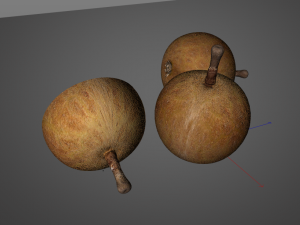 longan dimocarpus fruit Model 3D
