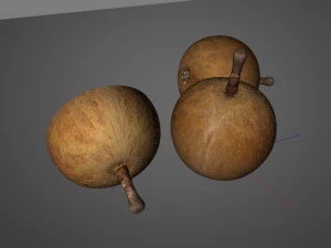 longan dimocarpus fruit 3D Model