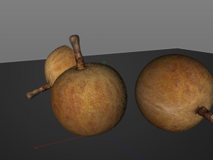 longan dimocarpus fruit Model 3D