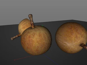longan dimocarpus fruit 3D Model