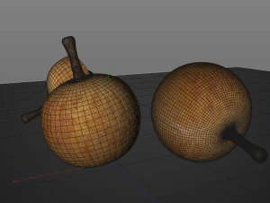 longan dimocarpus fruit 3D Model