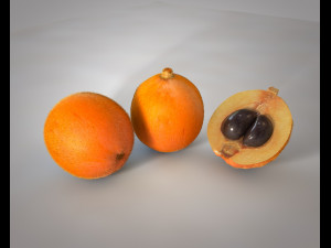 loquat citric fruit 3D Model