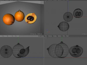 loquat citric fruit 3D Model