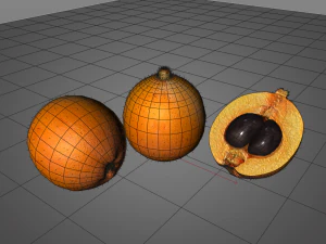 loquat citric fruit 3D Model
