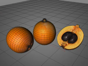 loquat citric fruit 3D Model