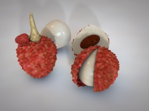 lychee litchi soapberry fruit 3D Model