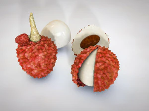 lychee litchi soapberry fruit 3D Model