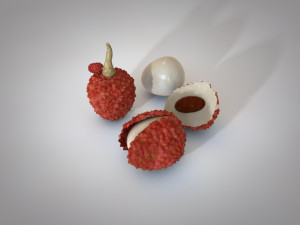 lychee litchi soapberry fruit 3D 모델