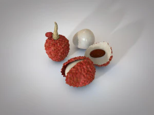 lychee litchi soapberry fruit 3D Model