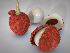 lychee litchi soapberry fruit 3D 모델