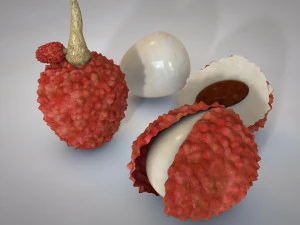 lychee litchi soapberry fruit 3D Model