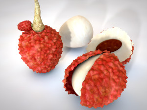 lychee litchi soapberry fruit 3D 모델