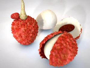 lychee litchi soapberry fruit 3D Model