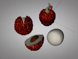 lychee litchi soapberry fruit 3D Model