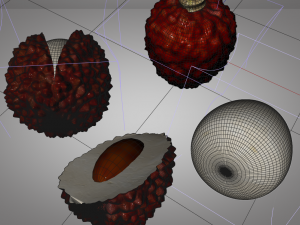 lychee litchi soapberry fruit 3D 모델