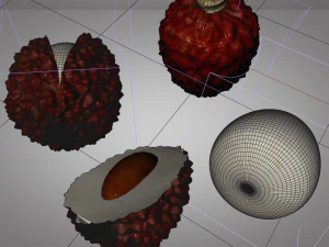 lychee litchi soapberry fruit 3D Model