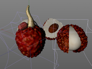 lychee litchi soapberry fruit 3D 모델