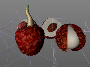 lychee litchi soapberry fruit 3D Model