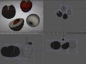 lychee litchi soapberry fruit 3D 모델