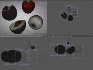 lychee litchi soapberry fruit 3D Model