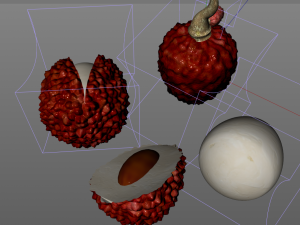 lychee litchi soapberry fruit 3D 모델