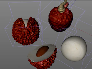 lychee litchi soapberry fruit 3D Model