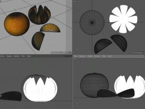 frutto del mandarino Modello 3D