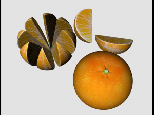 mandarin fruit Modello 3D