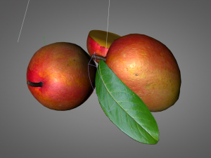 mango fruit Modello 3D