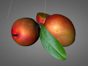mango meyvesi 3D Model