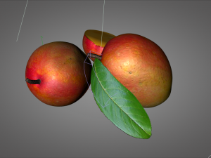 mango fruit Modello 3D