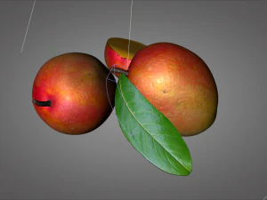 mango meyvesi 3D Model