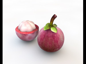 mangosteen fruit purple Modelo 3D