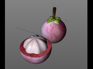 mangosteen fruit purple Modelo 3D