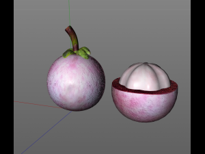 mangosteen fruit purple Modelo 3D