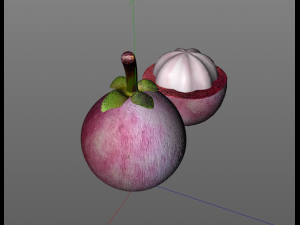 mangosteen fruit purple Modelo 3D