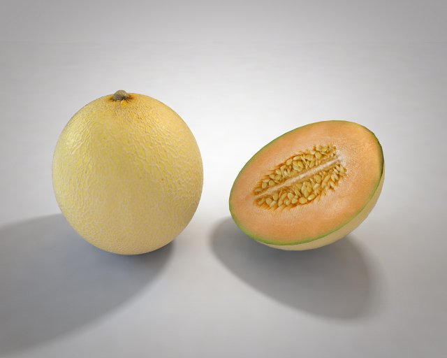 melon fruit 3D Модель .c4d .max .obj .3ds .fbx .stl .blend 