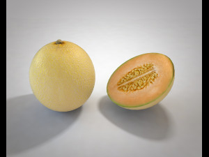 melon fruit 3D Model