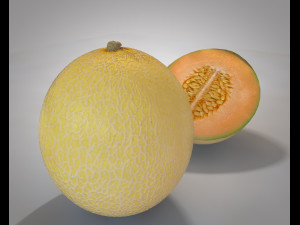 melon fruit 3D Модель