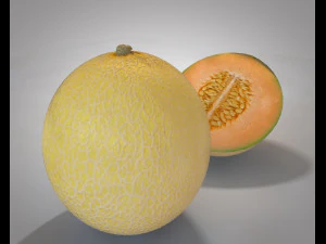 melon fruit 3D Model