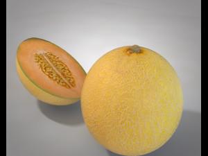 melon fruit 3D Модель