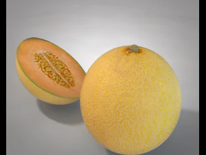 melon fruit 3D Model