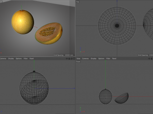 melon fruit 3D Модель