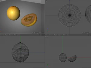 melon fruit 3D Model