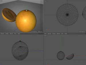 melon fruit 3D Model
