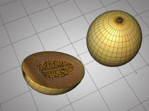 melon fruit 3D Model