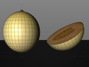 melon fruit 3D Model