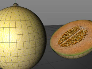 melon fruit 3D Model