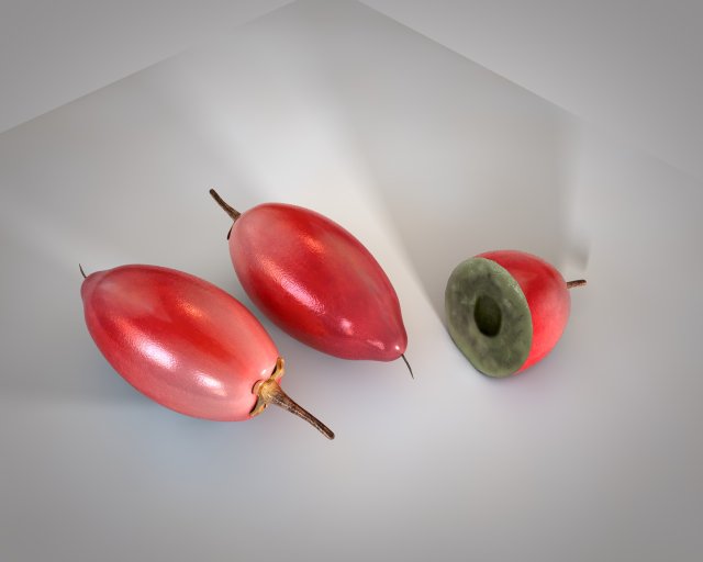 miracle fruit 3D Model .c4d .max .obj .3ds .fbx .stl .blend 